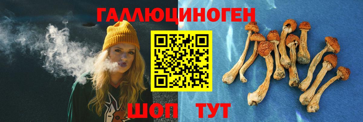 Псилоцибиновые грибы GOLDEN TEACHER  Псилоцибиновые грибы Psilocybine cubensis  Вход с VPN  Богородск 